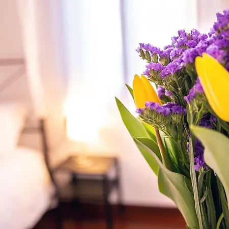 Ca Del Pestrin Old Town Ac And Wifi Apartment *